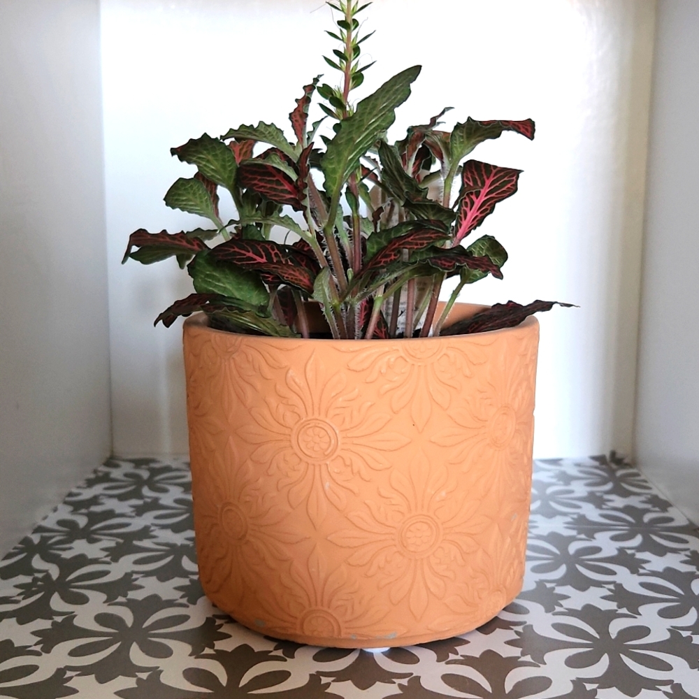 Cement planter